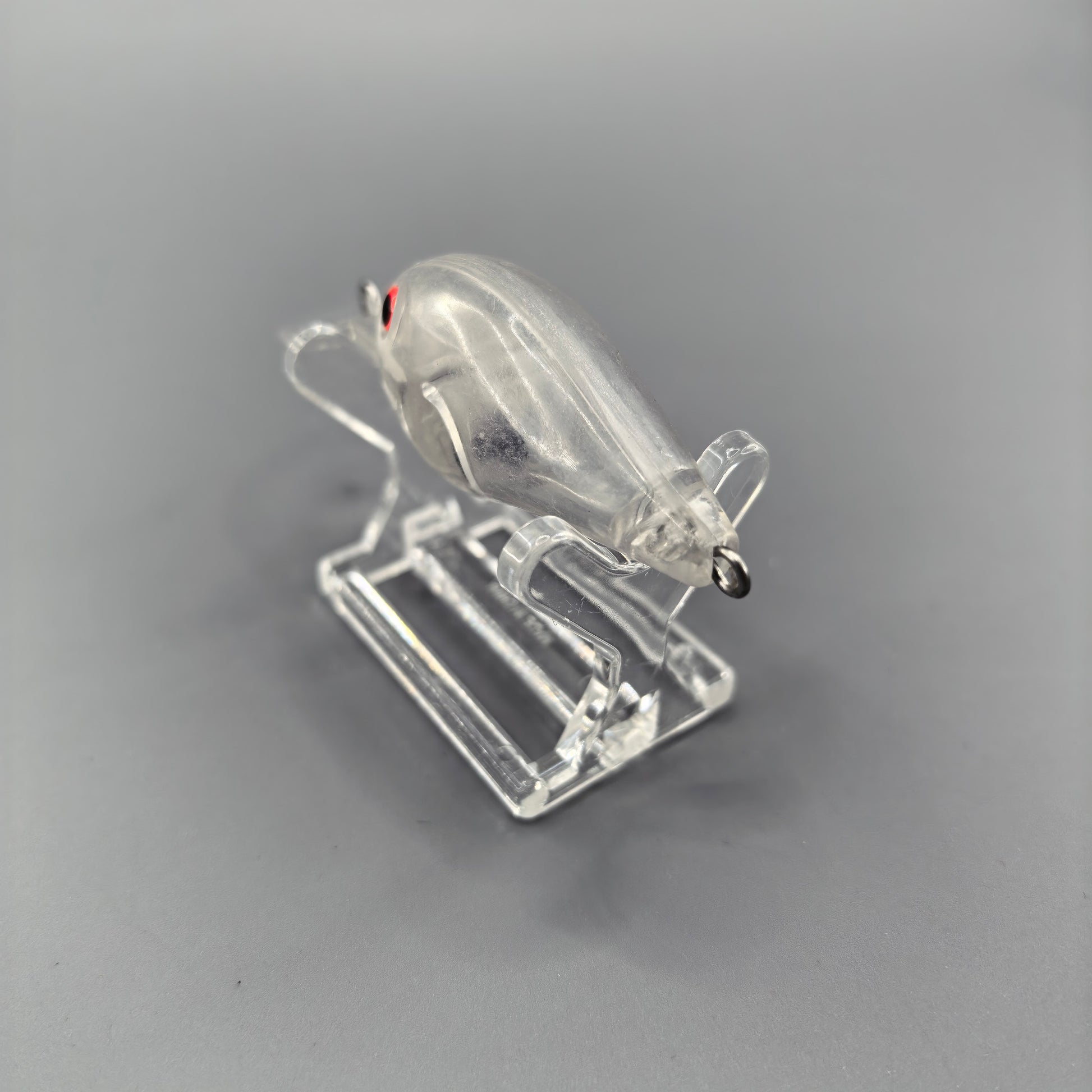 Rapala DT6 Crank Lure Blank