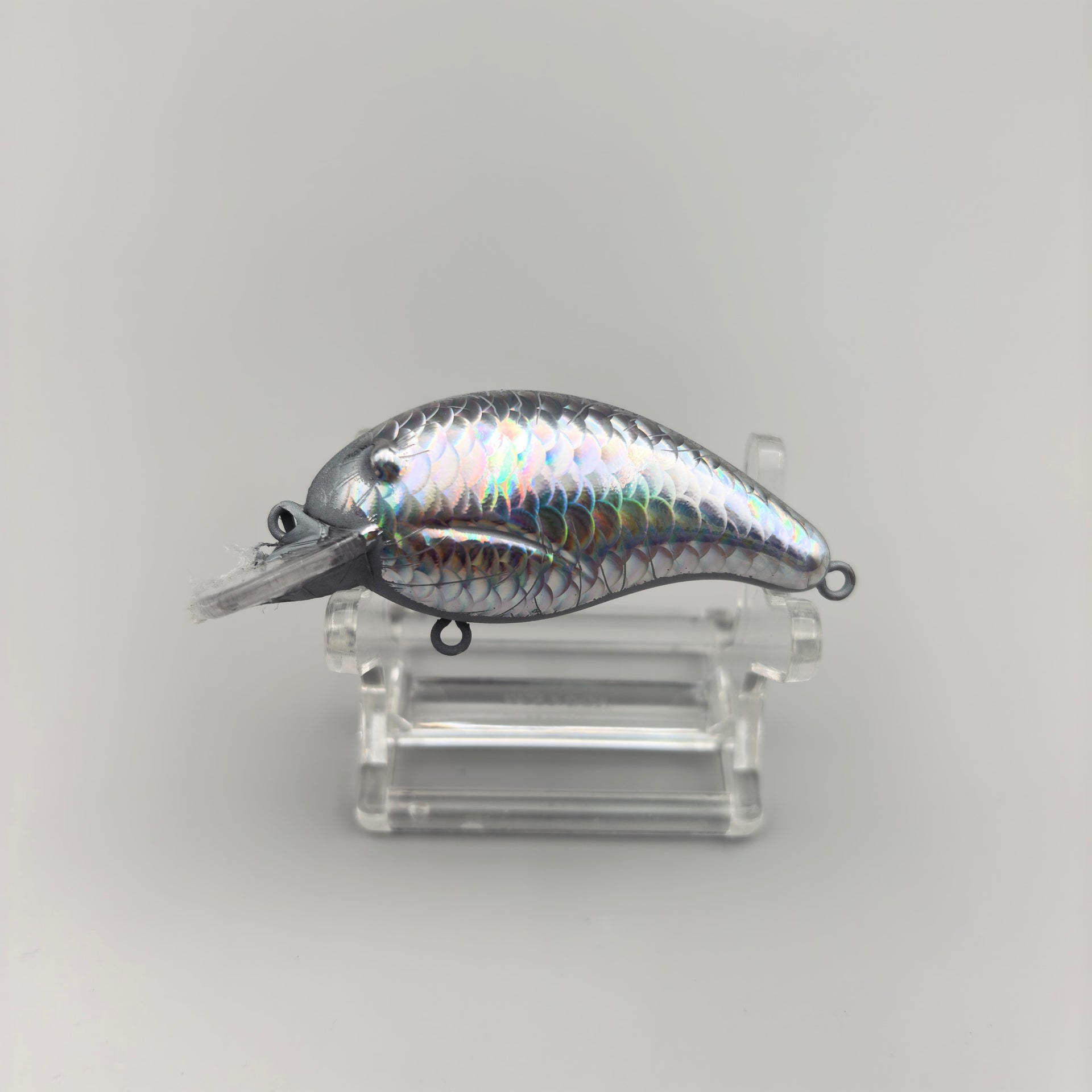 C047 Bandit 100 / 200 / 300 / Footloose Crank Lure Blank - Bandit 100 / Holographic