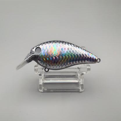 Holograohic Strike King KVD Squarebill 1.0 1.5 2.5 Crank Blank